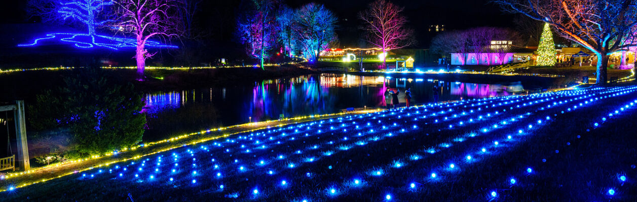 large scale Christmas light installation at Boar's Head Resort