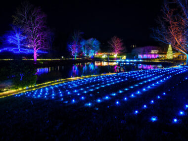 large scale Christmas light installation at Boar's Head Resort